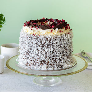 Two Layer Lamington Cake